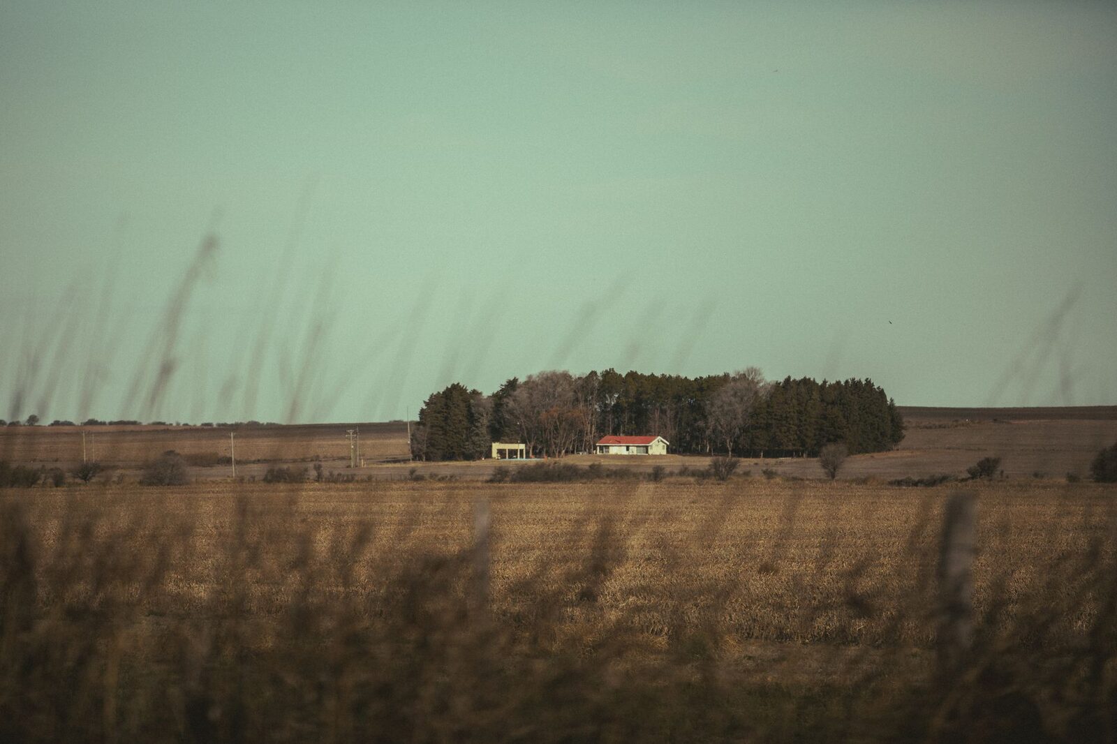 Serene view of a rural homestead surrounded by vast fields and trees, depicting peace in the countryside.
